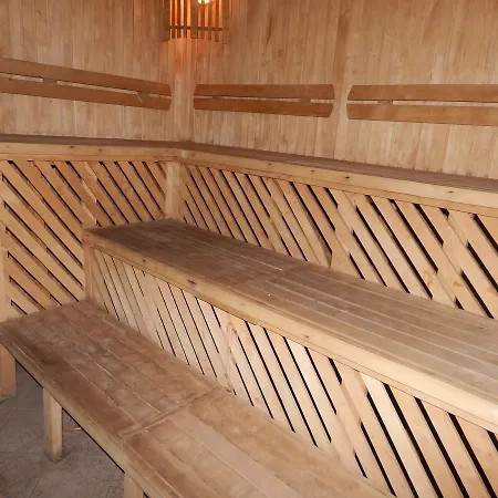 Karpaty Viking * Nizhneye Sinevidnoye