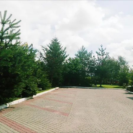 Μοτέλ Karpaty Viking Nizhneye Sinevidnoye