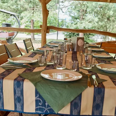 Karpaty Viking * Nizhneye Sinevidnoye