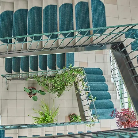 Karpaty Viking * Nizhneye Sinevidnoye