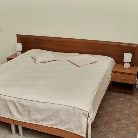 Motel Karpaty Viking *