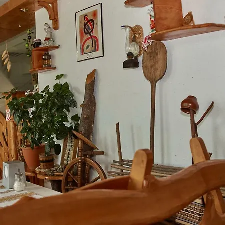 Karpaty Viking Nizhneye Sinevidnoye