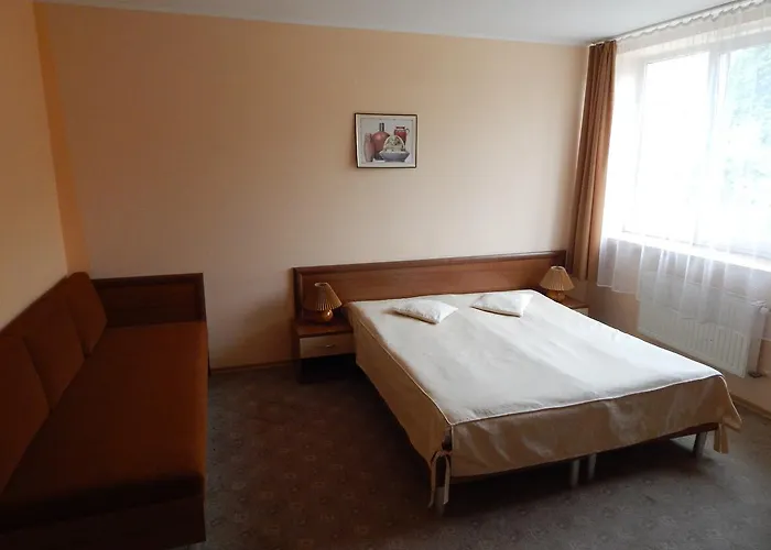 Karpaty Viking Motel