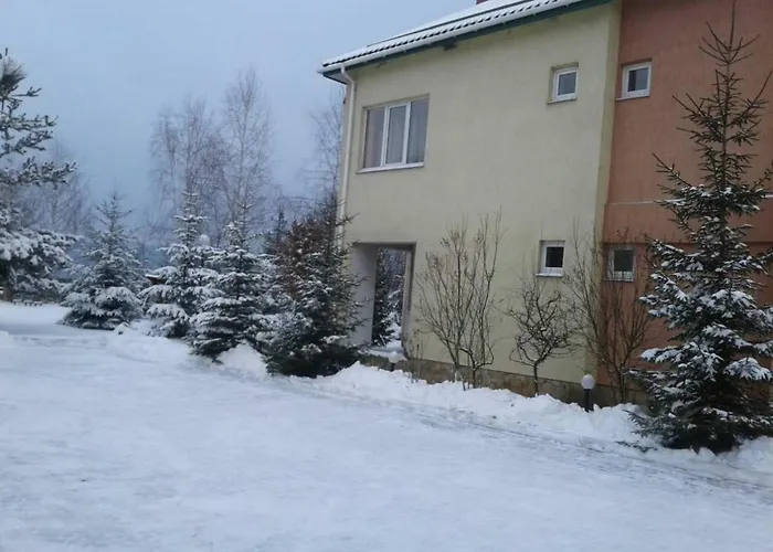Karpaty Viking